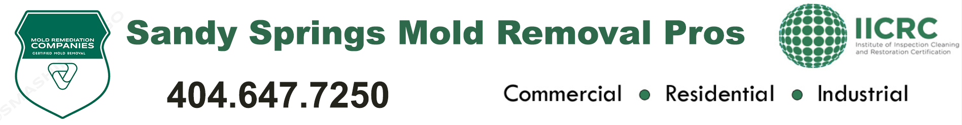 Sandy Springs Mold Removal Pros